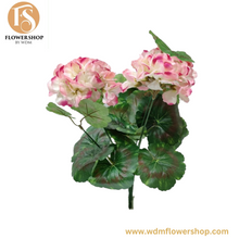 Load image into Gallery viewer, Geranium Bush (6 pcs)
