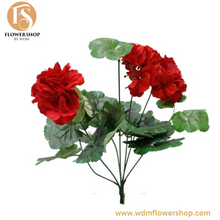 Load image into Gallery viewer, Geranium Bush (6 pcs)
