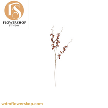 Load image into Gallery viewer, Pigeon Orchid Stems (24 Stems)
