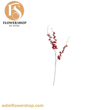 Load image into Gallery viewer, Pigeon Orchid Stems (24 Stems)
