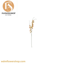 Load image into Gallery viewer, Pigeon Orchid Stems (24 Stems)
