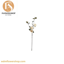 Load image into Gallery viewer, Magnolia Stems (12 Stems)
