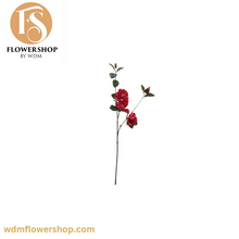 Load image into Gallery viewer, Magnolia Stems (12 Stems)
