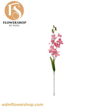 Load image into Gallery viewer, Boat Orchid (24 Stems)
