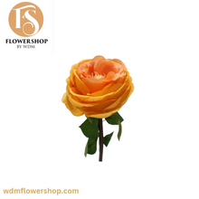 Load image into Gallery viewer, English Rose (36 pcs)
