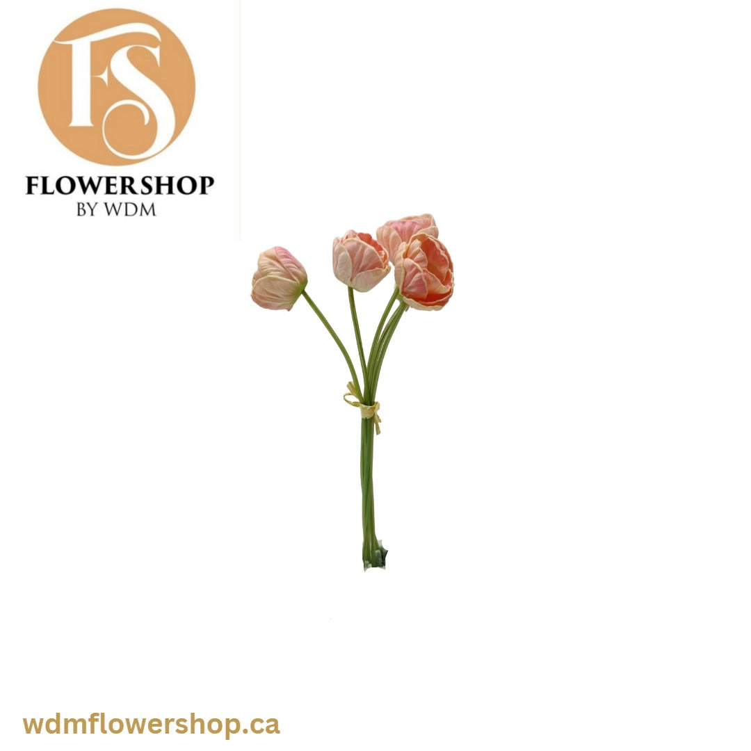 Tulip – WDM Flower Shop