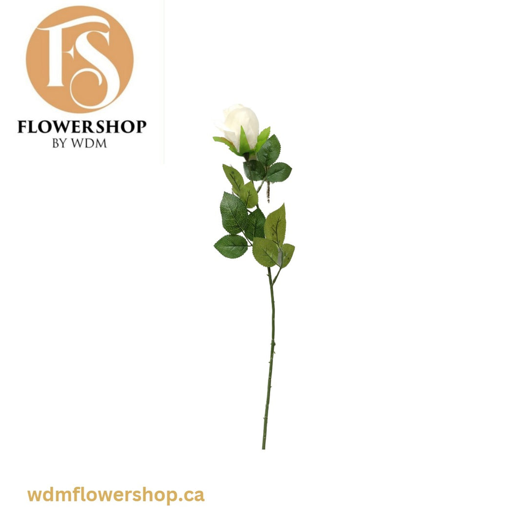 White Tea Rose Stem (24 pcs)