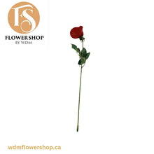 Load image into Gallery viewer, Rose Stem (48 pcs)
