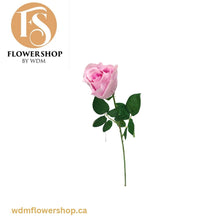 Load image into Gallery viewer, Rose Stem (48 pcs)
