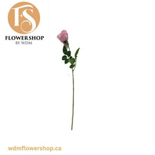 Load image into Gallery viewer, Rose Stem (48 pcs)
