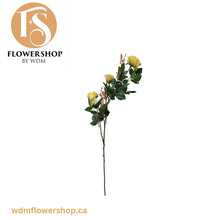 Load image into Gallery viewer, Rose Stems- 3 Heads (6 pcs)
