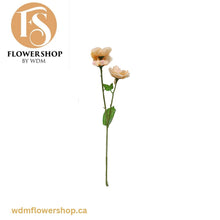 Load image into Gallery viewer, Peony Stem-3 Heads (6 Stems)
