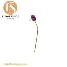 Load image into Gallery viewer, PURPLE ROSE STEMS (24 pcs)
