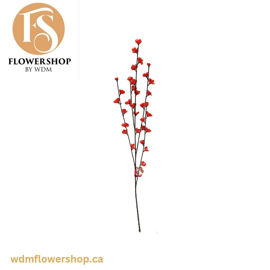 Cherry Blossom Fillers (Box of 12 Stems)