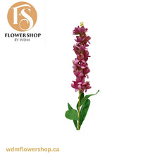 Load image into Gallery viewer, Closed Orchid Stems (12 Stems)
