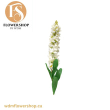 Load image into Gallery viewer, Closed Orchid Stems (12 Stems)
