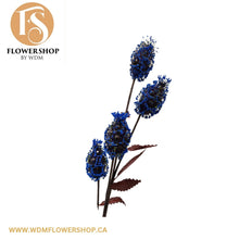 Load image into Gallery viewer, Blue Flower Stems
