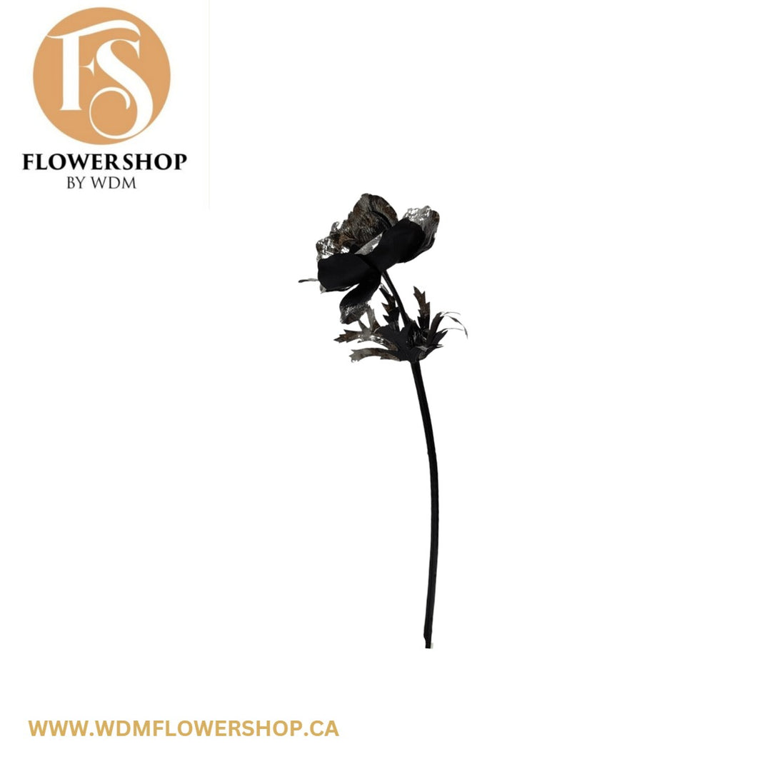 Black Anemone Flower Stem-12 pcs