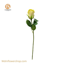 Load image into Gallery viewer, CLOSED ROSE BUD (24 Stems)
