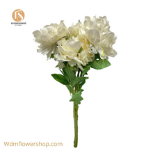 Load image into Gallery viewer, CHINESE PEONY BUSH-7 HEADS (12pcs)
