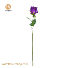 Load image into Gallery viewer, ROSE STEMS (56pcs)
