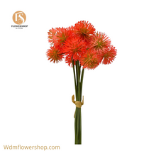 Load image into Gallery viewer, Scarlet PiriPiri-Bunch (Box of 24 Stems)
