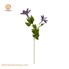 Load image into Gallery viewer, DOWNY CLEMATIS STEMS
