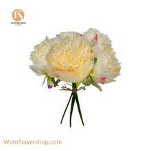 Load image into Gallery viewer, PEONY WITH STAMEN-12 pc
