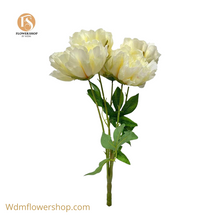 Load image into Gallery viewer, Peony Bush with 5 Heads (24pcs)
