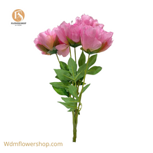 Load image into Gallery viewer, Peony Bush with 5 Heads (24pcs)
