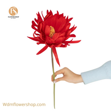 Load image into Gallery viewer, Chrysanthemum-24pcs
