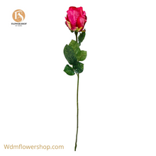 Load image into Gallery viewer, ROSE STEMS (56pcs)
