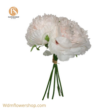 Load image into Gallery viewer, PEONY WITH STAMEN-12 pc
