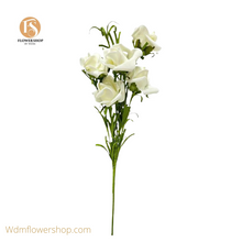 Load image into Gallery viewer, ROSE-BUNCH(36 pcs)
