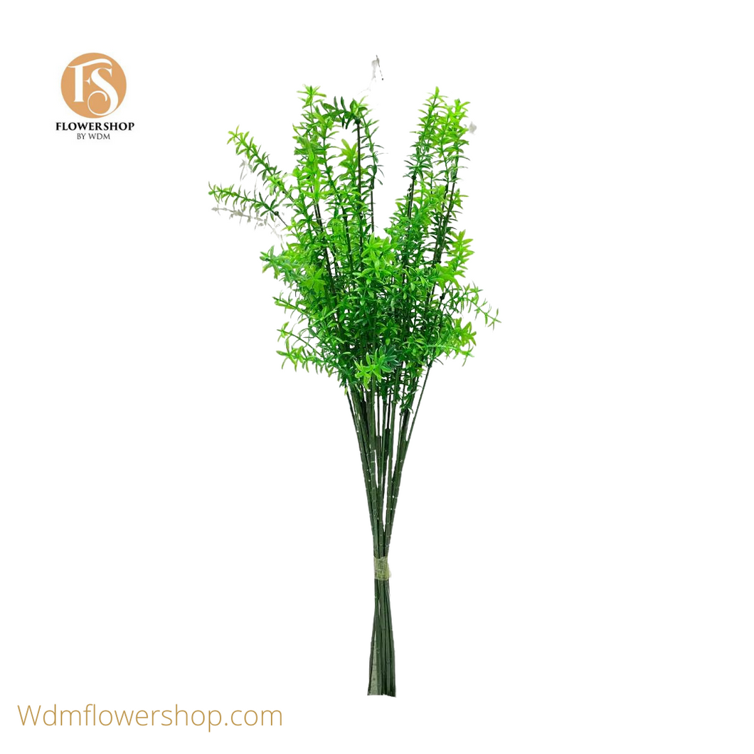 Scilloideae Asparagus (10 Stems)