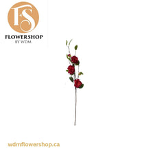 Load image into Gallery viewer, Floribunda Rose Stems (12 pcs)
